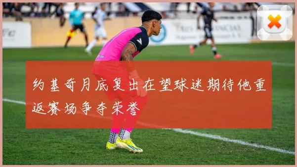 约基奇月底复出在望球迷期待他重返赛场争夺荣誉